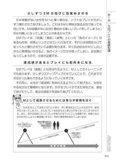 いますぐデキる 図説SMプレイマニュアル