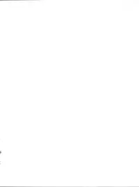 [Isami Kaihatsu Jigyoudan (Various)] Isami Mix Rimix (Tobe! Isami)