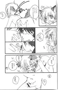 Peach Drop- Arco Iris