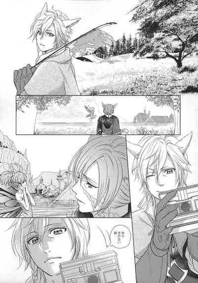 [Nawofu Mochi (Nawofu)] Focus (Final Fantasy XIV)