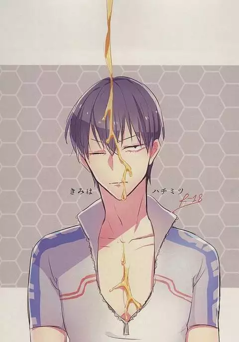 Kimi wa Hachimitsu