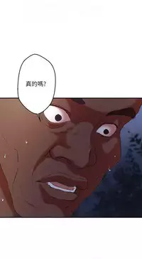 母豬養成計畫【中文】