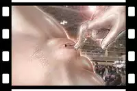 [NEO’GENTLE] Virginal Relna 1