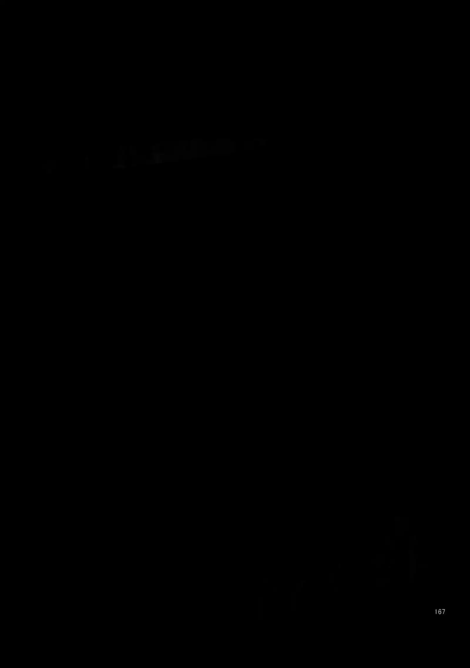 BACKCODE -SIDE:OSMTsan-