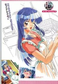 (一般画集) [F&C] バーチャコール シリーズ設定原画集