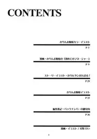 (C70) [HEAVEN'S UNIT (Kouno Kei)] Ojou-sama ga Daisuki!! (Street Fighter)