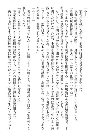 年上メイドの新婚日記