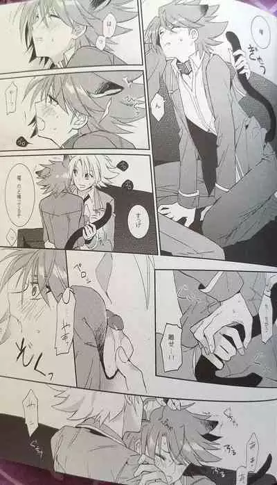 Nekonimatatabi Cardfight Vanguard!!
