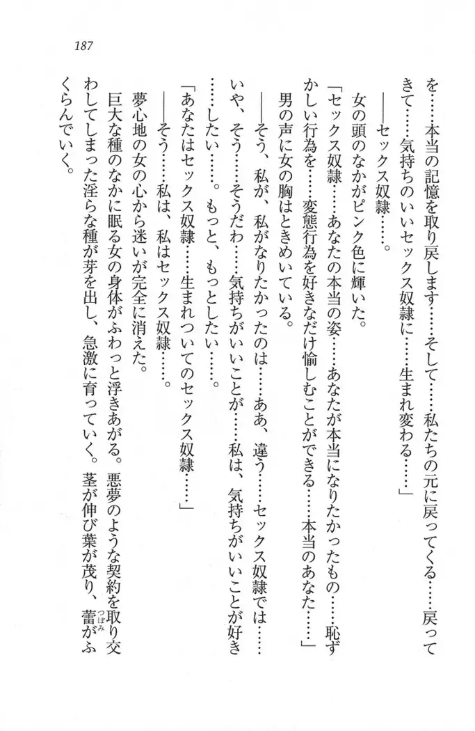 解放区~痴漢ハーレム