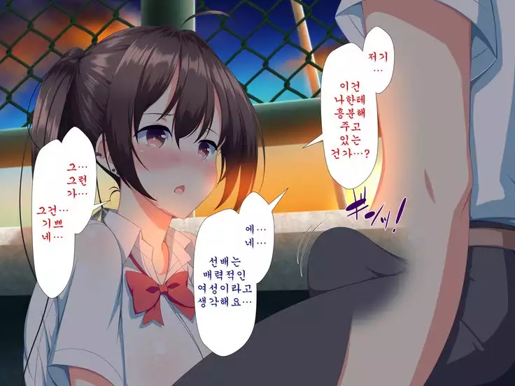 Inran Virus ~Seikoui wa Iryoukoui~ <팀 혼파망>