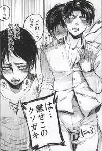 (C86) [Onjire (Tamy)] ONGRE2013 (Shingeki no Kyojin)