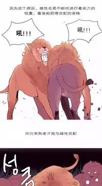 [Rozer] 我统治的世界(A World that I Rule) Ch.1-12 [Chinese]