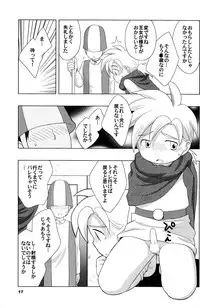 (Shotaket 10) [Tokuda (Ueda Yuu)] Hoshifuru Seisui (Dragon Quest V)