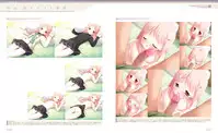 Sakura Musubi Visual Fanbook