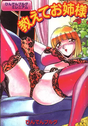 [Hindenburg] Oshiete Oneesama [Chinese]