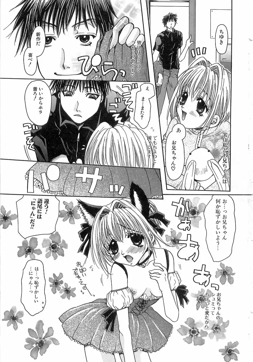 Kinkan Imouto Moe