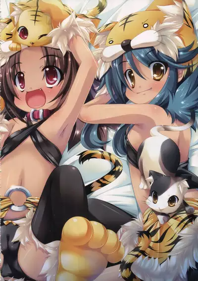 Shin Koihime Musou -Otome Ryouran Sangokushi Engi- Perfect Visual Book
