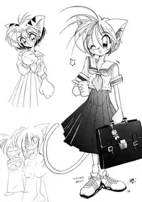 (C53) [.30-06 (Tsutsumi Akari)] CAZA MAYOR