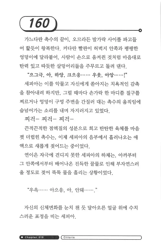 최면게임 - 타락하는 공주기사