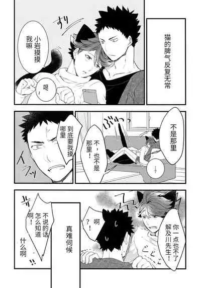 我想成为小岩的猫2 I want to become Iwa-chan's Cat! 2