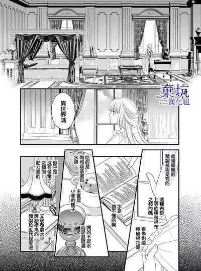 Iseikai no Seijousama ni Narimashita~Ikemendaishinnkantotorokyunshiawasedekiaisekatsu | 成為異世界的聖女大人!~與帥哥大神官過著甜蜜蜜又幸福的溺愛生活02