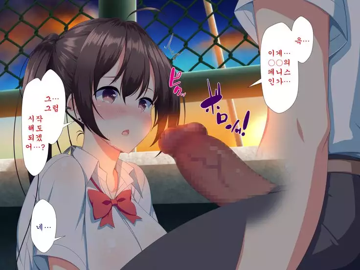 Inran Virus ~Seikoui wa Iryoukoui~ <팀 혼파망>