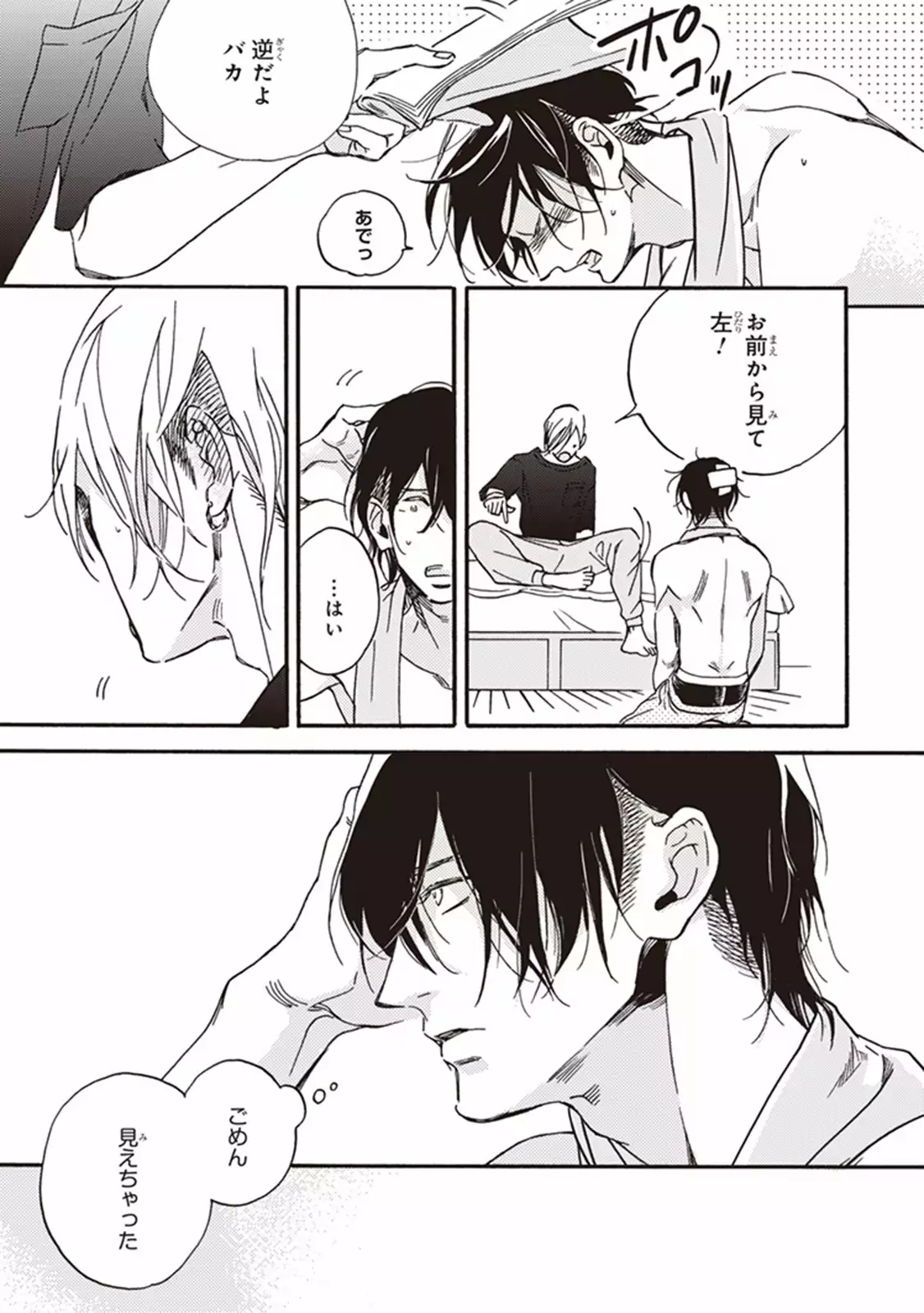 Kare no Hatsukoi wa, Doku ka Arui wa