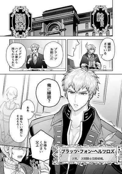 [三の月階段 (吉村さのつき)] 婚約阻止!…から始まる兄と弟の暴走