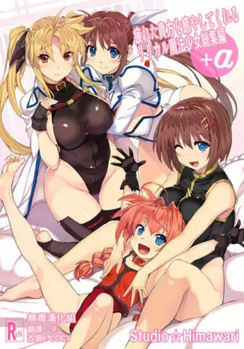 [Studio Himawari (Himukai Kyousuke)] Tsukareta Anata o Iyashite Kureru Lyrical Mahou Shoujo Soushuuhen +α (Mahou Shoujo Lyrical Nanoha) [Chinese] [无毒汉化组] [Digital] [Incomplete]