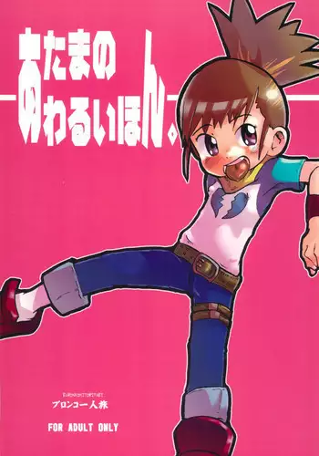 (SUPER11) [Bronco Hitoritabi (Various)] Atama no Warui Hon. (Digimon Tamers)
