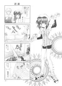 (SC12) [NEKOMIYA (Nekomi Haruto)] JUICY FRUITS (Sister Princess)