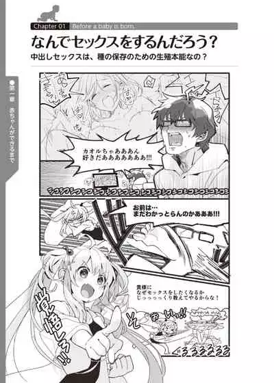 やらなくてもまんがで解る性交と妊娠 赤ちゃんのつくり方