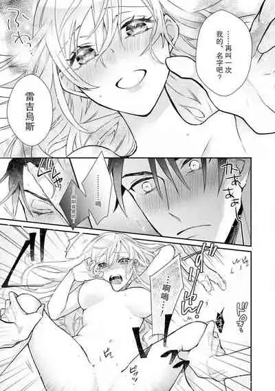 himegimi wa wakaki shōgun ni oboreru | 公主被年輕將軍迷戀