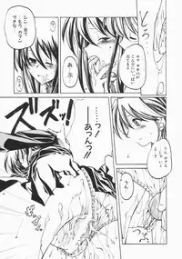 [Benjamin] Stray Sheep