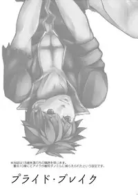 [Hatomame (Harazumi Tami)] Pride Break (Fire Emblem: Path of Radiance) [Digital]