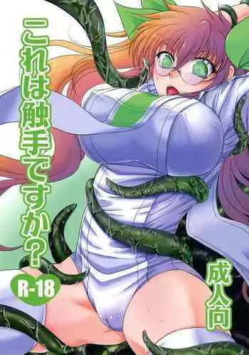 (C82) [Purplian (Kakisaki)] Kore wa Shokushu desu ka? (Drifters)