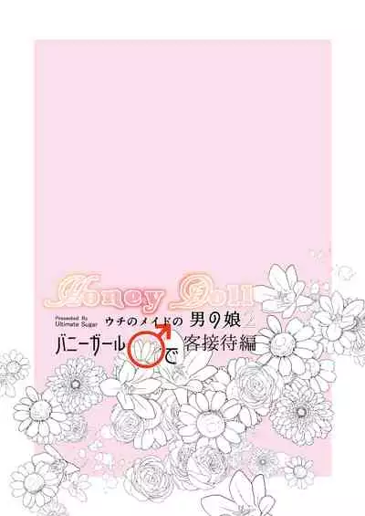 Honey Doll ウチのメイドの男の娘 2 ~バニーガール♂で客接待編~