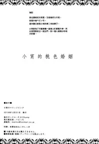 (C91) [P.D Chump (Pedocchi)] Koyoi no Marriage Pink | 小宵的桃色婚姻 [Chinese] [比斯娘汉化组]