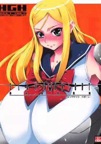 (COMIC1☆2) [HGH (HG Chagawa)] Slave Knight: Reborn
