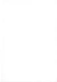 (C87) [EUNOXLINE (U-1)] Nano ☆ Yu (Mahou Shoujo Lyrical Nanoha)