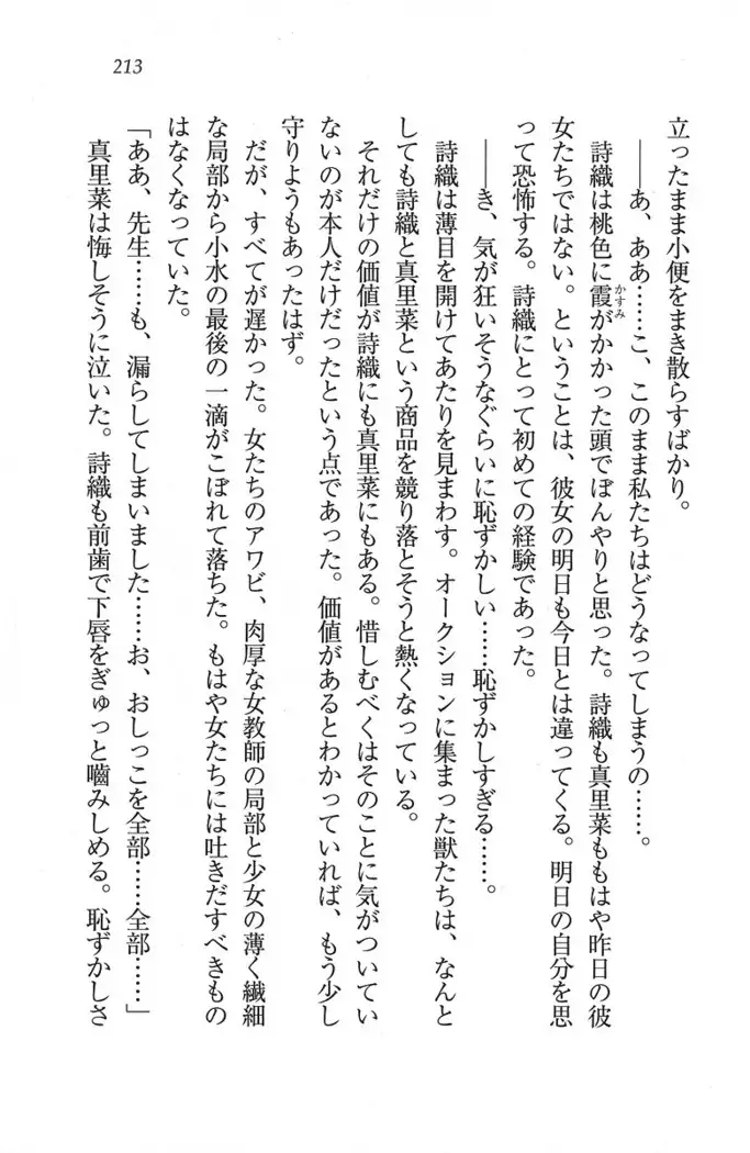 解放区~痴漢ハーレム