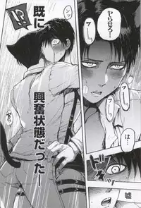 (C86) [Onjire (Tamy)] ONGRE2013 (Shingeki no Kyojin)