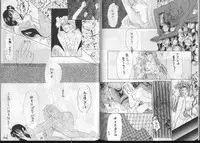 Dragonball for adult