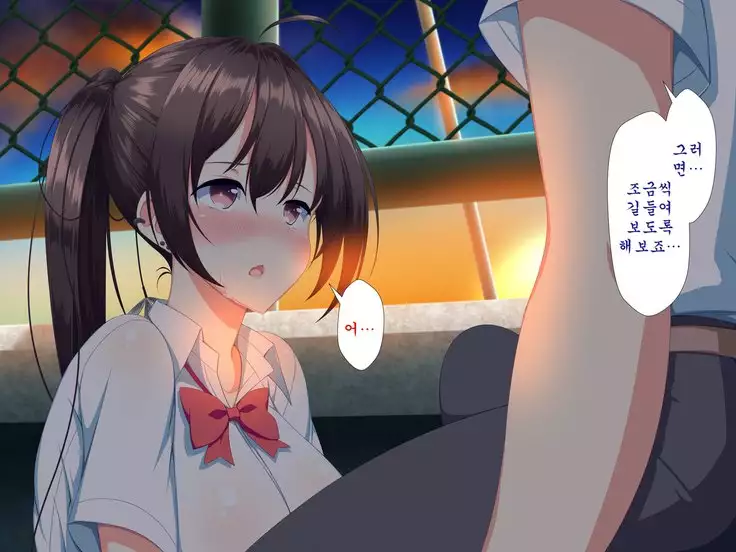 Inran Virus ~Seikoui wa Iryoukoui~ <팀 혼파망>