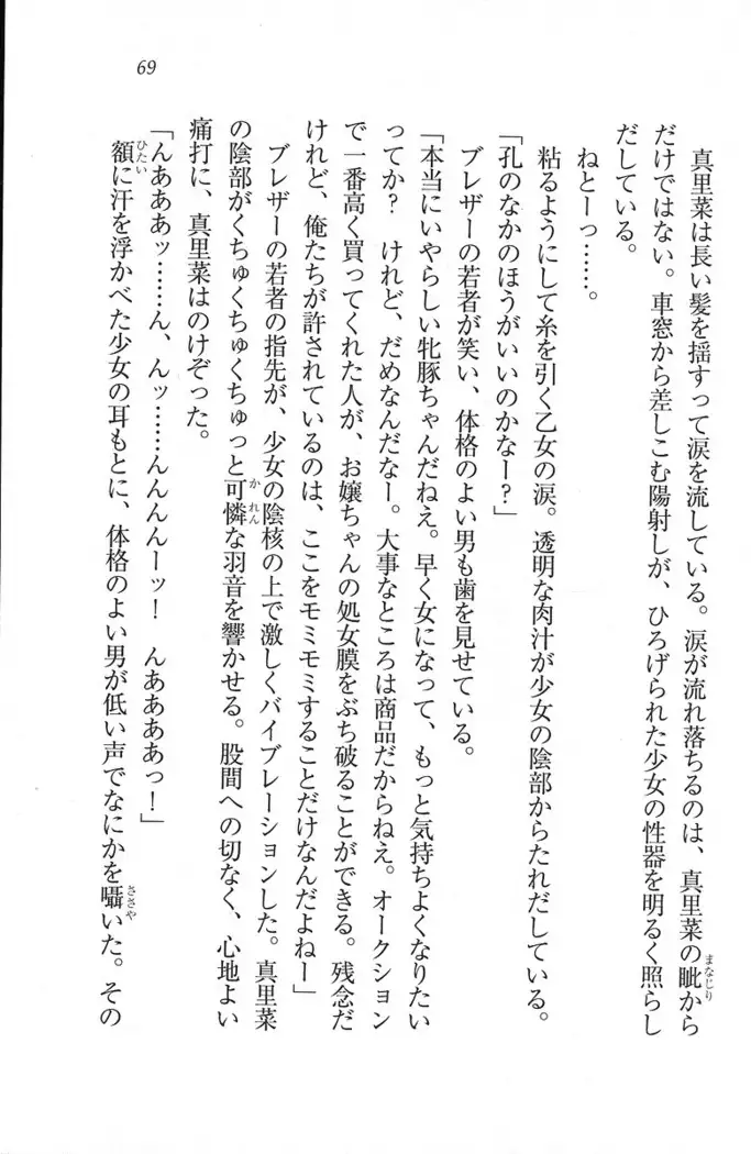 解放区~痴漢ハーレム