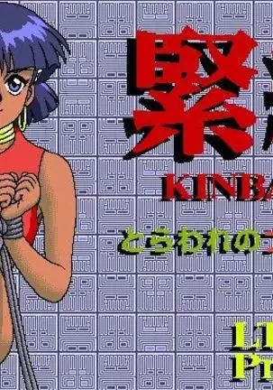 Kinbaku