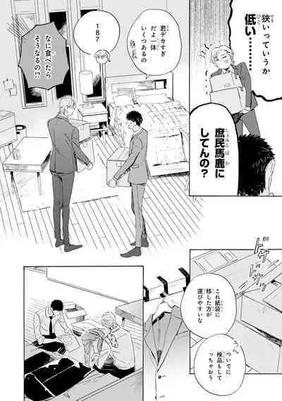 Ginmokusei no Shitateya