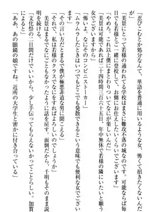 年上メイドの新婚日記