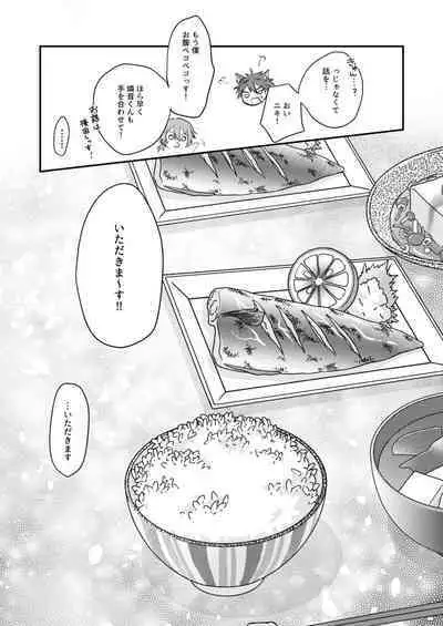 Okitsune-sama o Hiroimashita