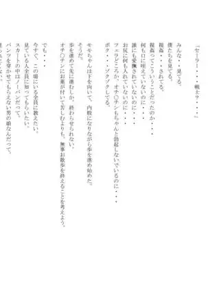 男の娘セーラー戦士W